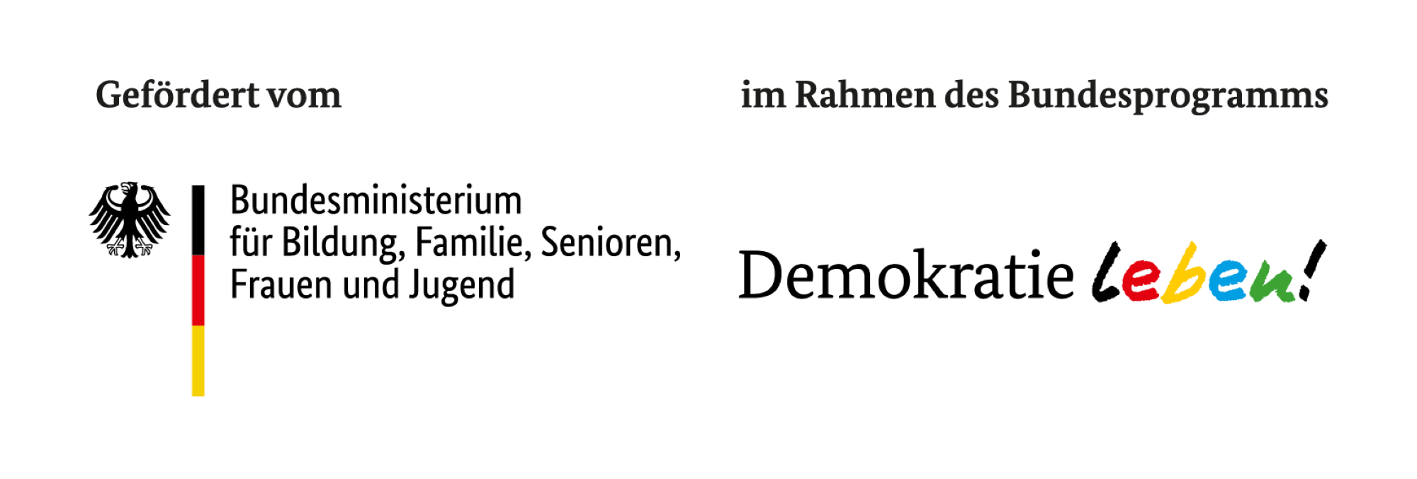 Logo BMBFSFJ Dl mit Foerderzusatz